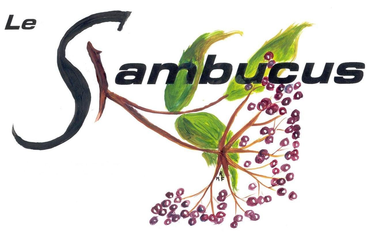 sambucus