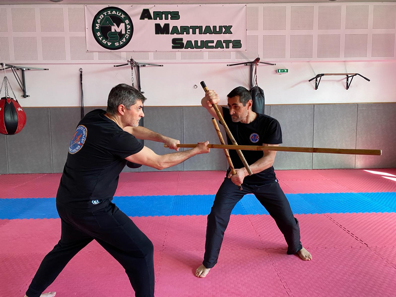 Stage d'Arnis ( Arts Martiaux Philippins)