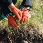 chantier participatif Saucats