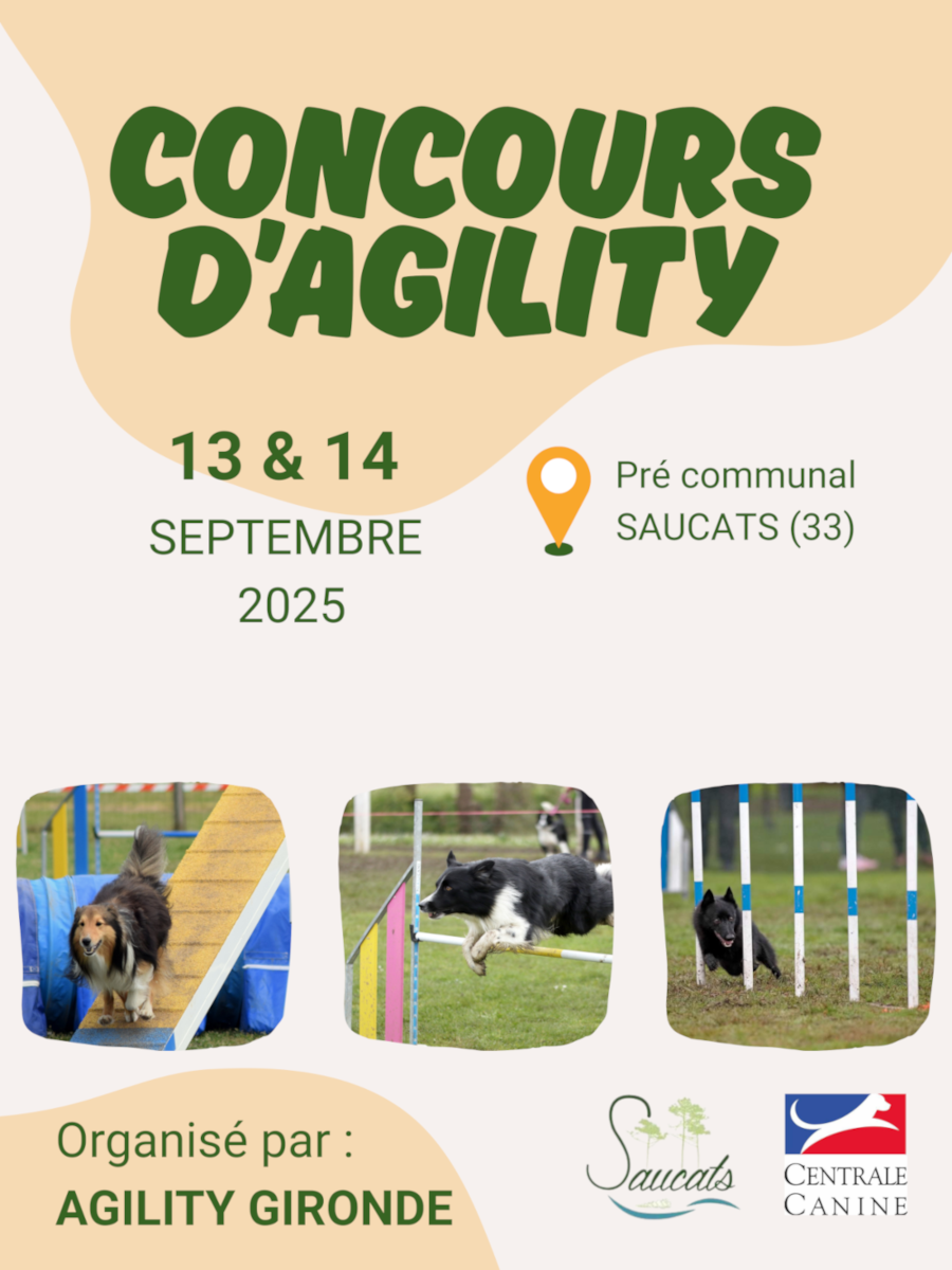 Concours d'AGILITY