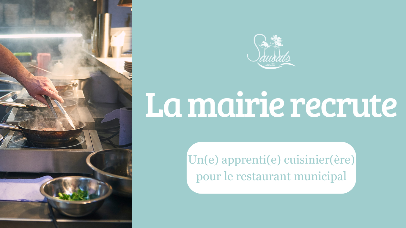 La mairie recrute apprenti cuisinier