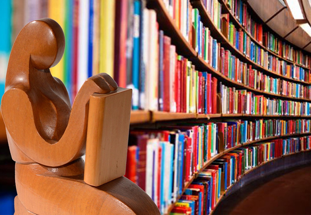 Bibliothèque déménage