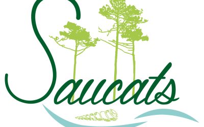 👉Tempête Nils…