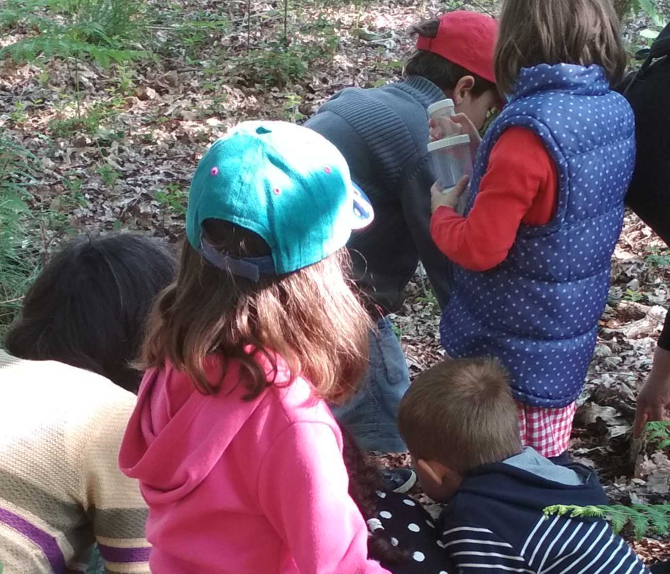Les ateliers de la forêt