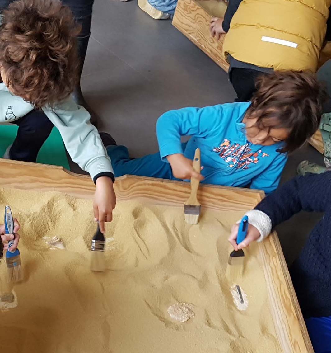 Que nous racontent les fossiles ?