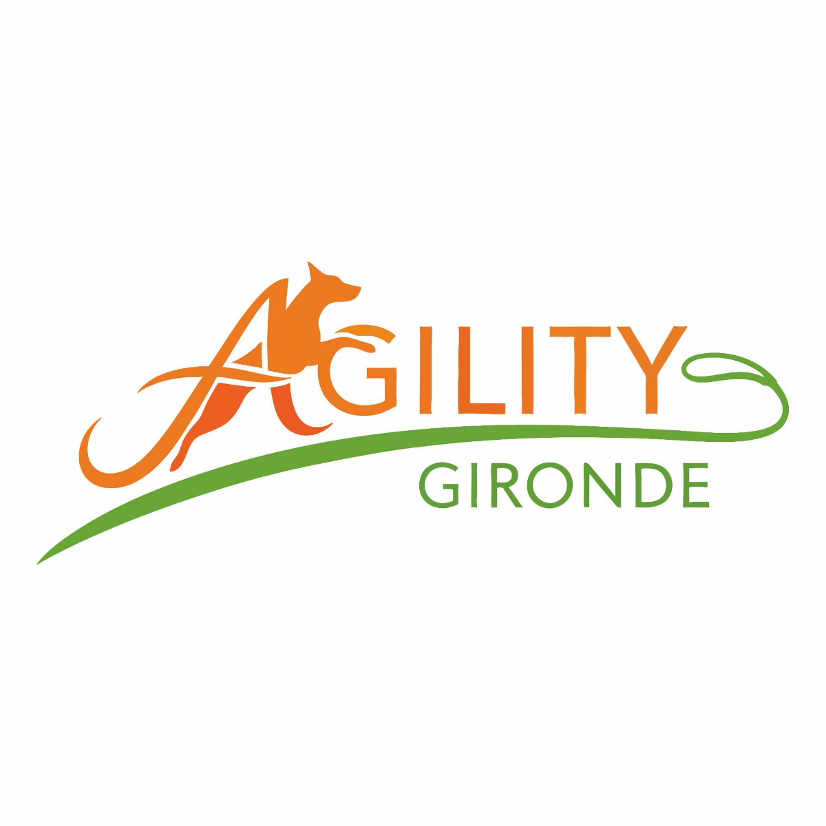 Concours d'agility