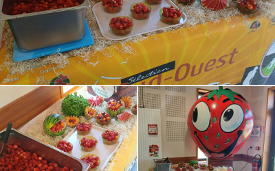 Journée spéciale autour des fraises pour les enfants