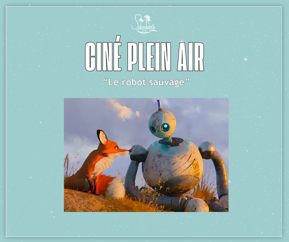 Ciné plein air