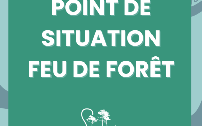 POINT DE SITUATION – FEU DE FORÊT