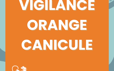 VIGILANCE ORANGE CANICULE DÈS DEMAIN EN GIRONDE