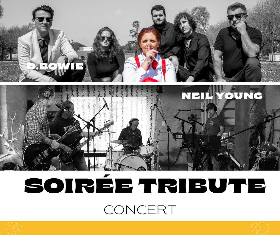 Soirée carte blanche : tribute Bowtie et The Lowners