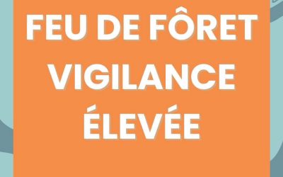 Feux de forêt : la Gironde passe en vigilance orange dès le jeudi 24 septembre