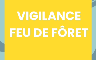 RISQUE FEUX DE FORÊT : VIGILANCE JAUNE EN GIRONDE